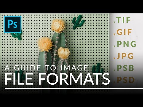 File Formats in Photoshop EXPLAINED (TIFF, GIF, PSB, &amp; More)
