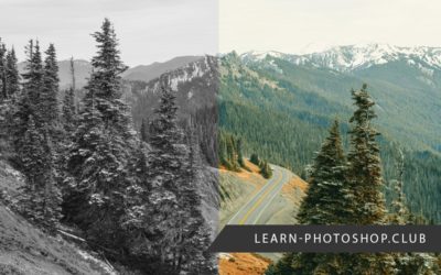 Stuck in Photoshop Grayscale? Here’s What to Do