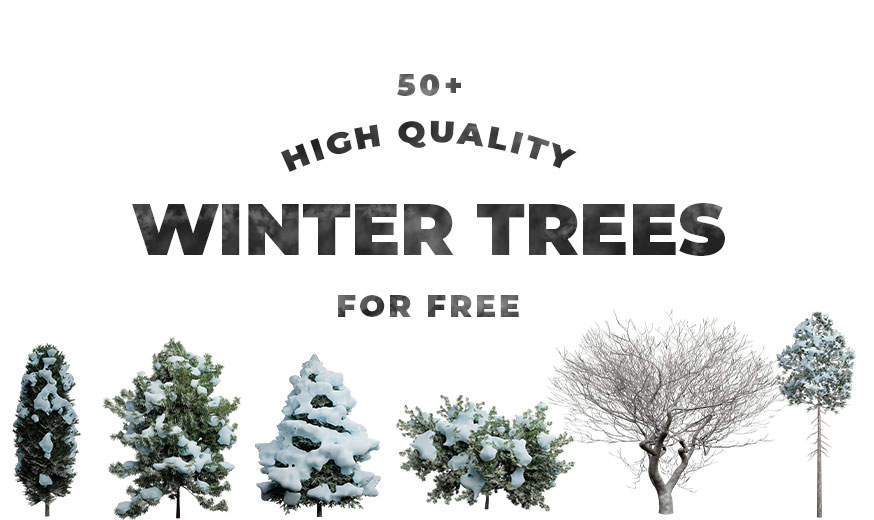 50 High-Resolution Winter Trees with Transparent Background to Download (for FREE)