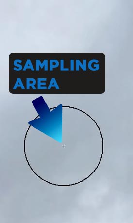 sampling-area-background-eraser-photoshop